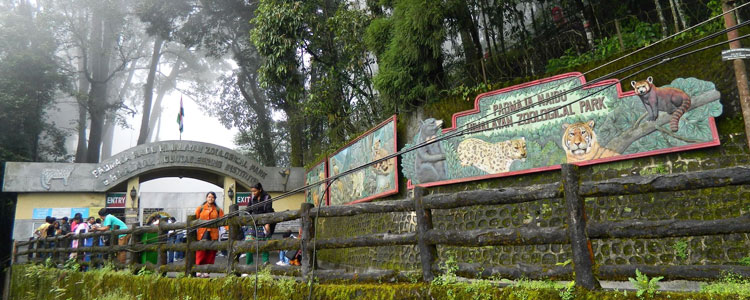 Padmaja Naidu Zoological Park